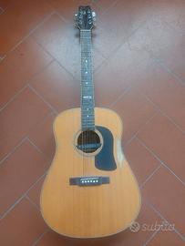 Chitarra Acustica Washburn Limited Edition D24SI