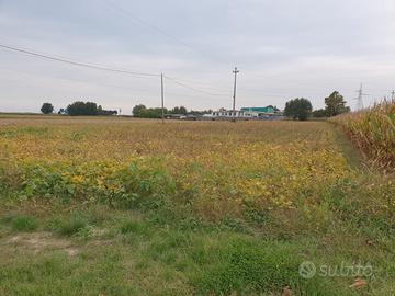 PIAZZA VECCHIA Terreno di 6.200 mq M704