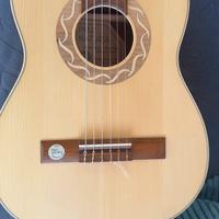 Chitarra pro natura silver 1/2