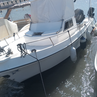 Polyform barracuda c 24