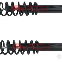 2 ammortizzatori posteriori ligier js50 60 ricambi