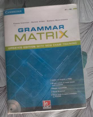 Grammar Matrix - Updated Edition (A1 to B2+)