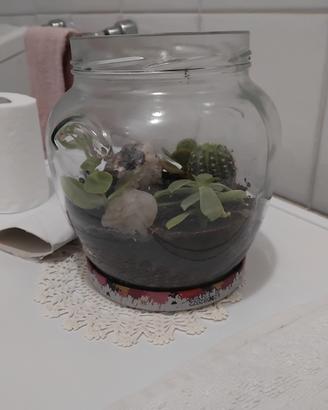 centrotavola in vetro con piante grasse