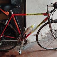 Colnago Decor