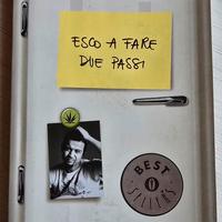 Fabio Volo - Esco a fare due passi