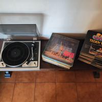 Piatto Taya MP-200 con collezioni di dischi