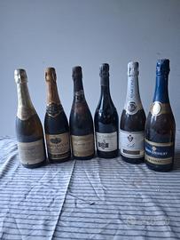 Nr 6 vini frizzanti