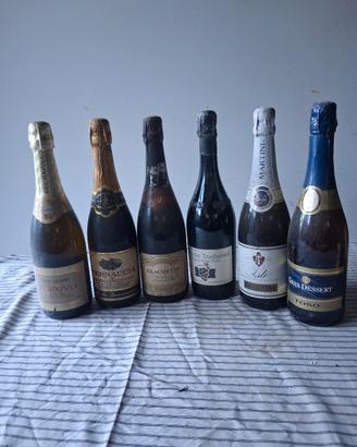 Nr 6 vini frizzanti