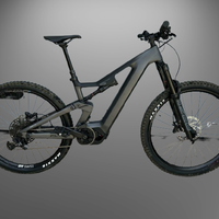 E-BIKE