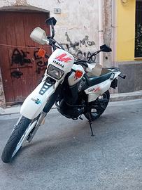 xt 600