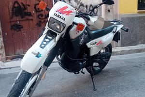 xt 600