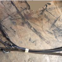 Accessori cavallo