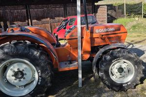 TRATTORE GOLDONI solo 879 ore