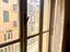 Immagine 12