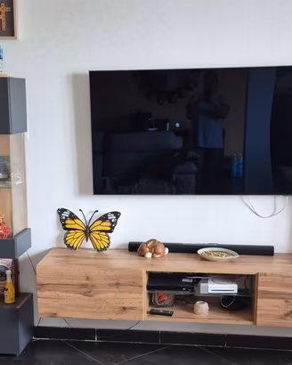 Mobile tv