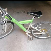 Bicicletta Pininfarina