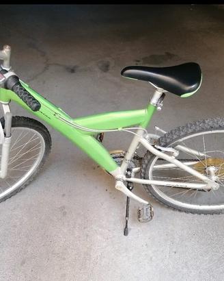 Bicicletta Pininfarina