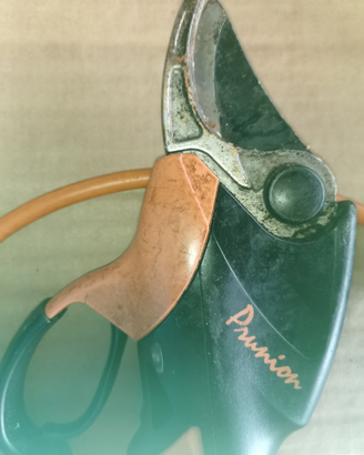 Forbici elettriche pellenc