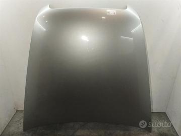 COFANO ANTERIORE AUDI A6 Avant Serie C6 (4F5) 4F08