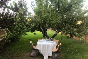 Casa indipendente con giardino Sud Sardegna