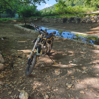 Pit bike ncx Thor 125