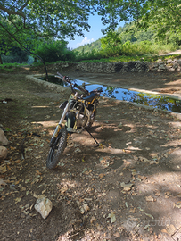 Pit bike ncx Thor 125