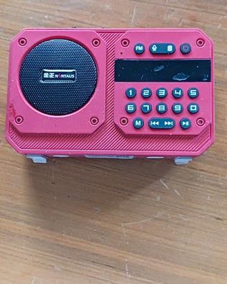 Radiolina portatile FM multifunzione
