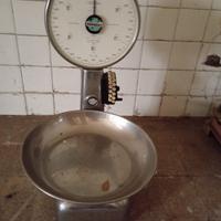 Bilancia bizerba maxima