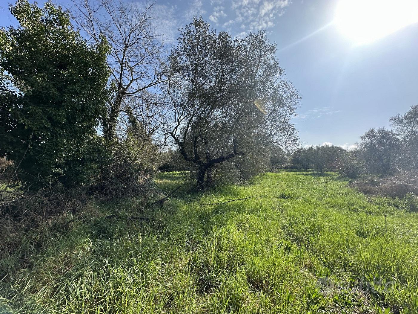 Terreno Agricolo Castel Sant'Elia - Altro