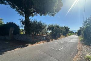 Terreno di 2500 m² a Velletri