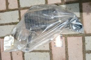 marmitta vespa faro basso 125 struzzo 150 vb1t