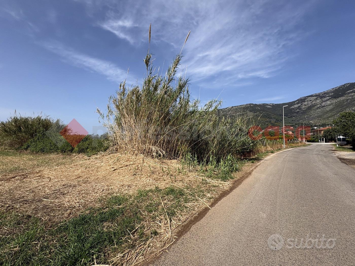 Terreno Agricolo Terracina [Cod. rif 3310884VCG] - Vista 2
