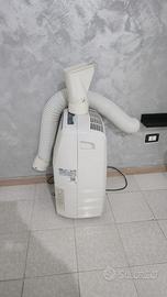 Pinguino delonghi
