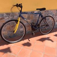 Bici miuntain bike