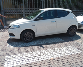 Y GPL x Neopatentati