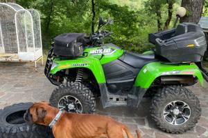 Arctic cat xt1000