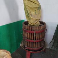 Torchio a leva da 5 quintali 