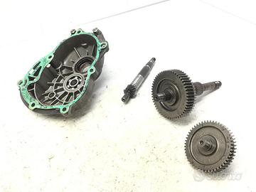 PIAGGIO BEVERLY 125 CARTER E INGRANAGGI RUOTA POST