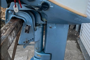 Evinrude 9.9cv 2tempi funzionante