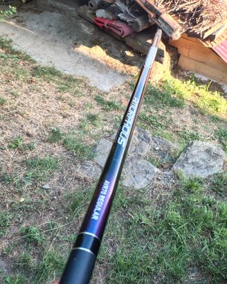 Daiwa Amorphous Regular 7 mt