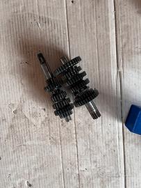 cambio am6 con stesta allungata