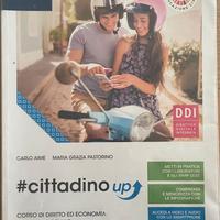 Testo di diritto 'cittadino up'