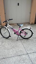 Eclipse city daisy 24"