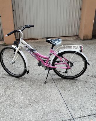 Eclipse city daisy 24"
