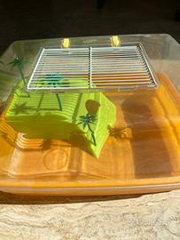 Terrario per tartarughe con zona asciutta