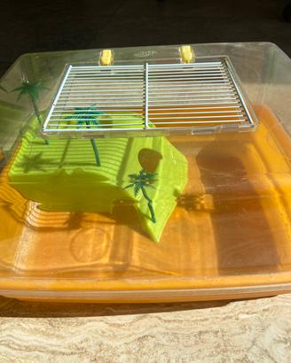 Terrario per tartarughe con zona asciutta