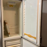 Frigo Rex