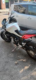 MV Augusta Brutale 800