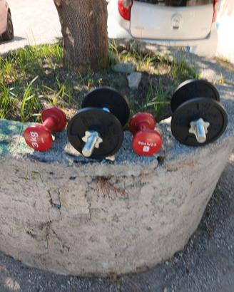 Pesi atletici