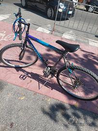 Bicicletta